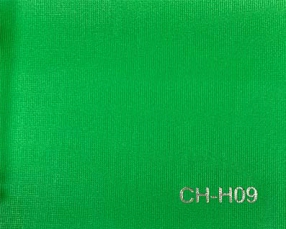 CH-H09