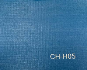 CH-H05