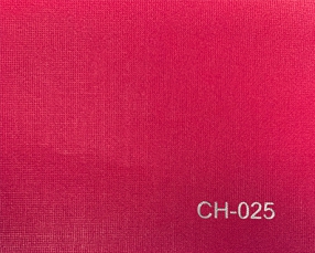 CH-025